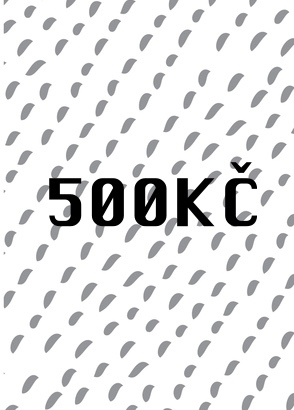Dárkový poukaz 500