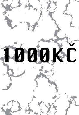 Dárkový poukaz 1000